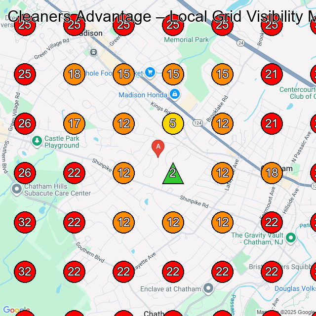 Cleaners Advantage GeoGrid visibility map for Dry Cleaner in Union